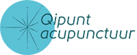 Qipunt logo V2